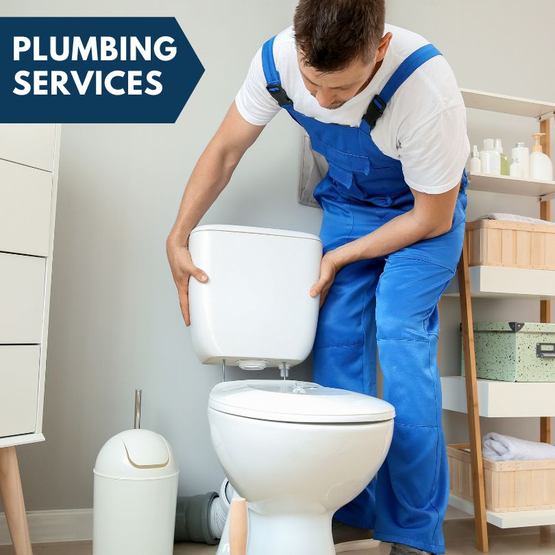 Plumbing Company in Mount Prospect, IL